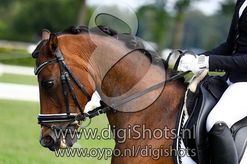 Dressuur M1 M2 cat C