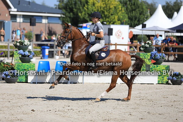 595 Knud van Orchid's