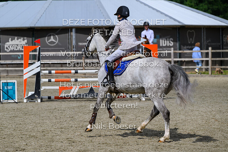 2 Paarden 1.00m rijstijl zonder barrage