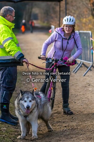 Donderslag zondag 1-12-2024 