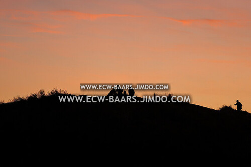 Quick Boys - Kozakken Boys. uitslag 1-1