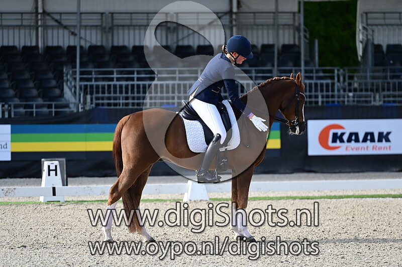 Goldwin's Hoeve's El Chico