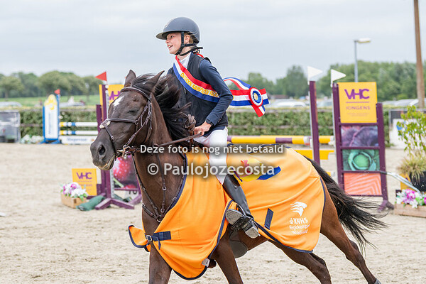 NH Regionals 100/110cm ponys