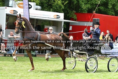 GG24 oefenrubriek nieuwelingen