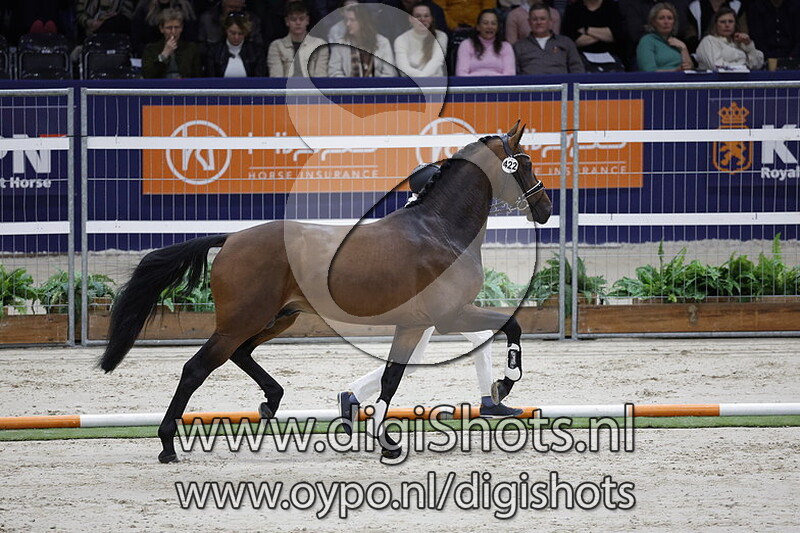 Royal Wimphof Nsh v. Just Wimphof - 422