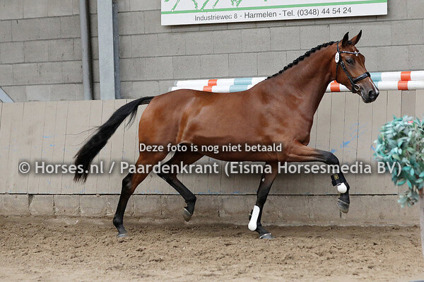 07 en 08-07-22 Stbk en CK Utrecht in Houten