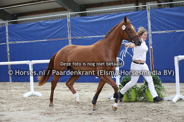 15 Misses K v Dettori