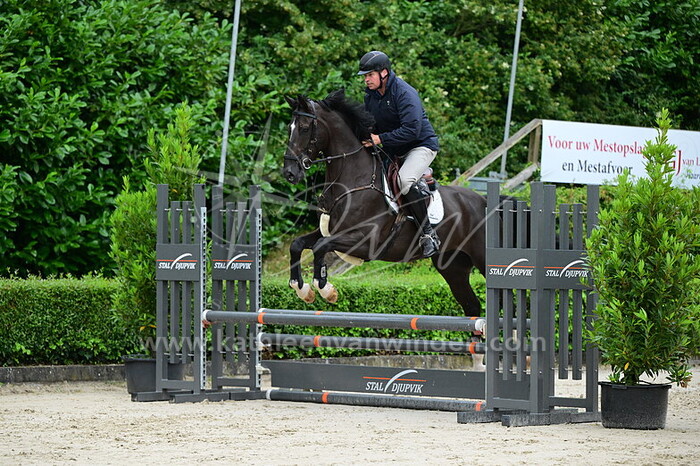 Thijs Meulemeesters - Icecream