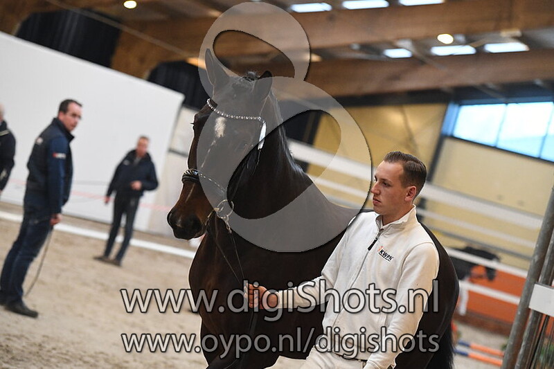 Main Stream UTV v. Total US