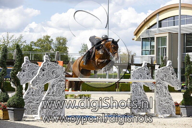 Je t´aime coucou tl