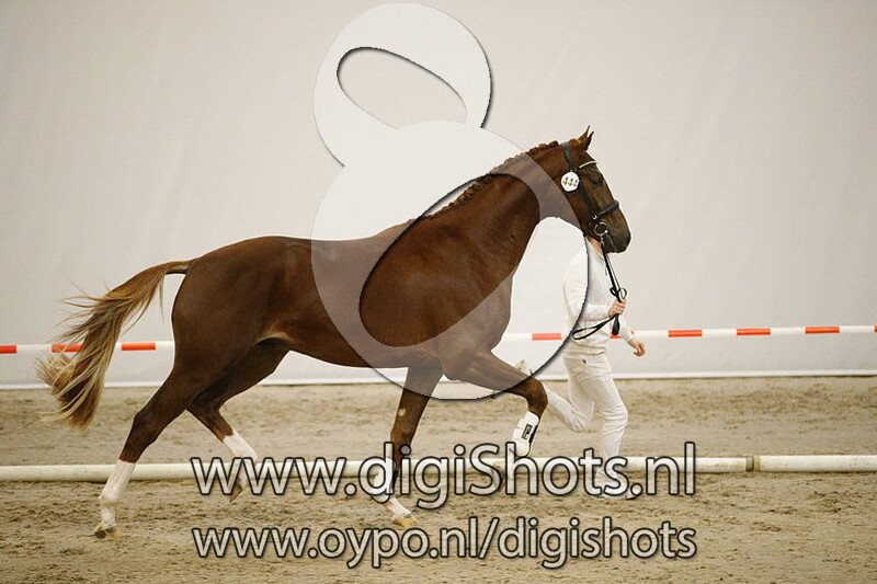 444 Liverpool TC v. Glocks Toto Jr