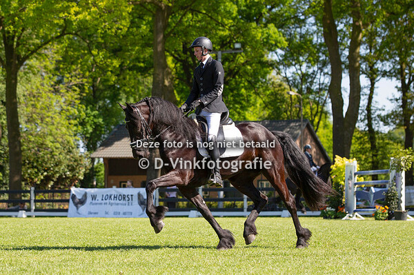 17. Bestgaand rijpaard finale 1