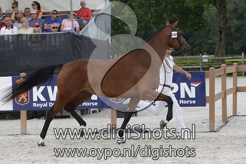 Pro Beth v. Expression