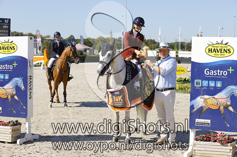 Panfu van de bisschop