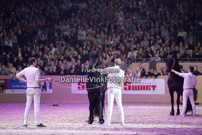 Hengstenkeuring 2023 Herre 524
