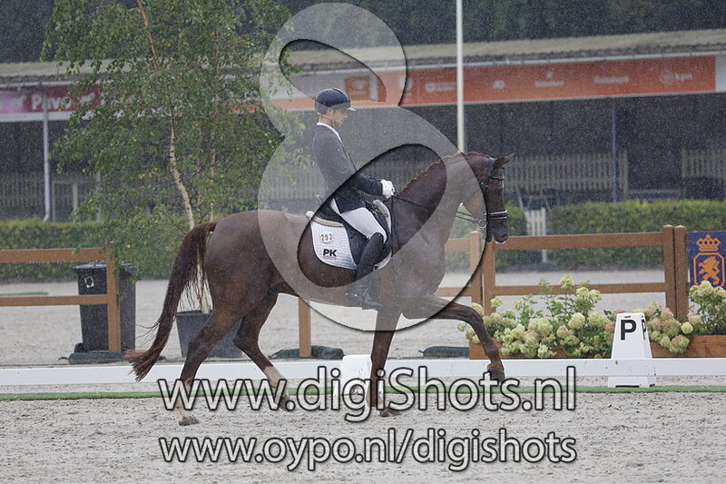 Magnum de la Fazenda