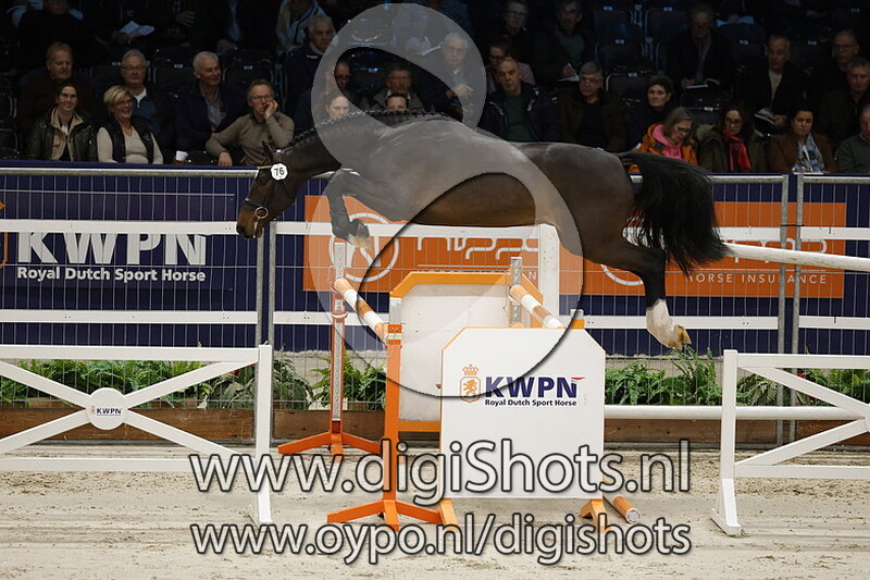 Rebellion Gph v. Harley VDL - 076