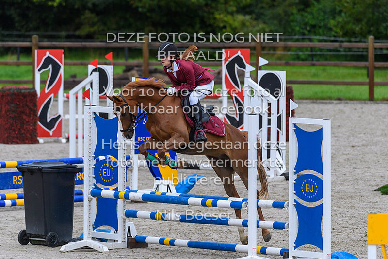 1 Ponys Klasse 70-80cm