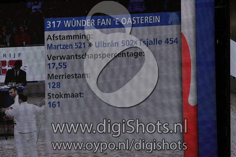 Wunder fan 'e Oasterein