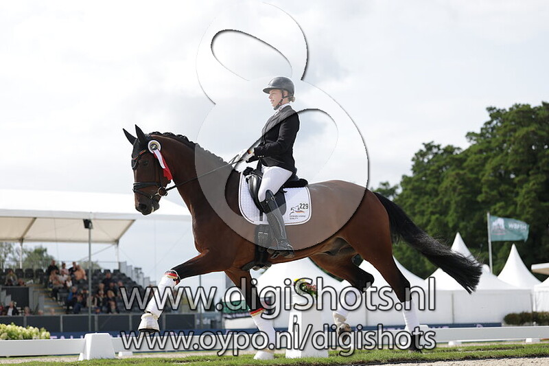 Schatzmeister MZ Old