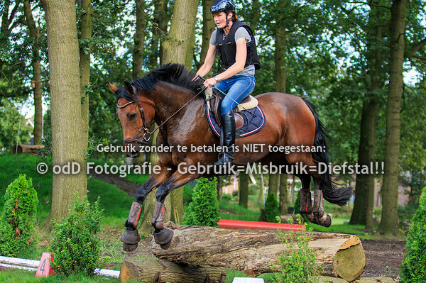 Trainingen Margo van Nijnatten Groep 5 15.45 30-08-23