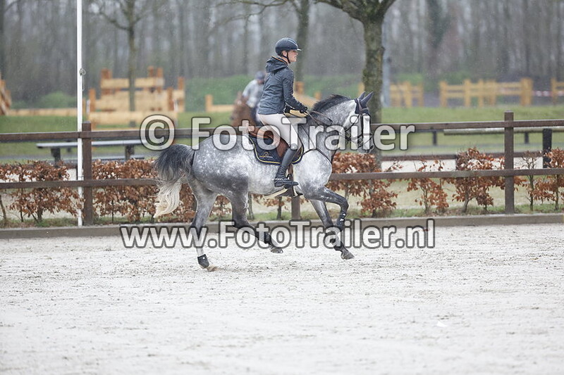 mareille van geel schroder