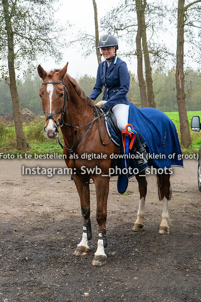 Paarden indoor zwaagwesteinde 90cm