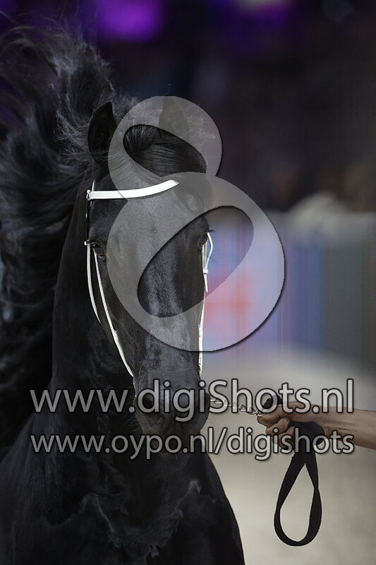 Tymen 503 v. Tsjalle 454