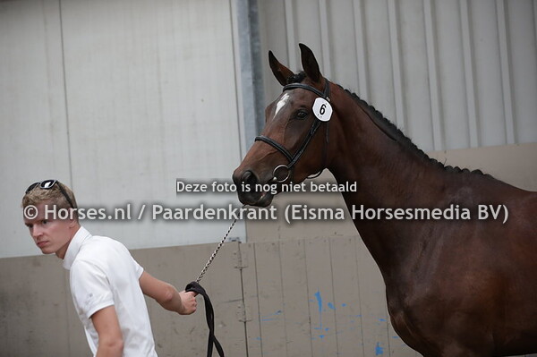 6 Onana (Jaquet Go x Amalia v. Garanco)