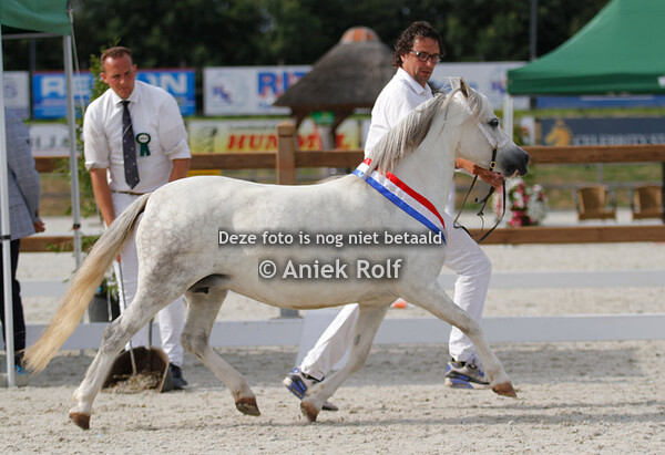 Sectie WPBR + Dagkampioenschap