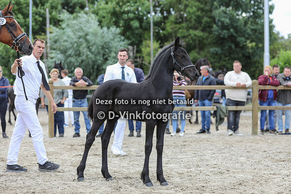 29. Yuulke fan Laurena