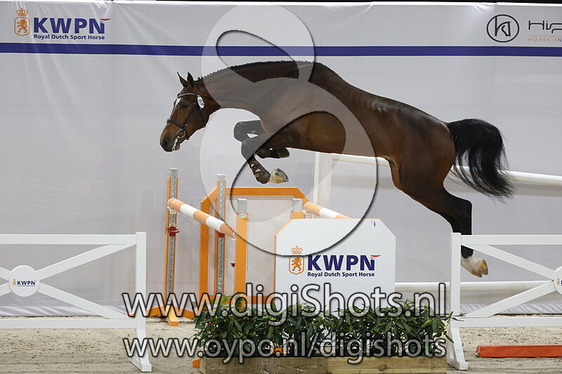 Luigi vd Zeijerweg Z v. Luigi d' Eclipse