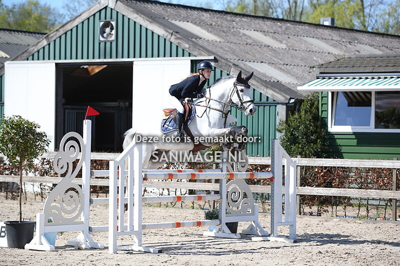 Zilfia's Hoeve Springen paarden 10-04-2024 110 cm