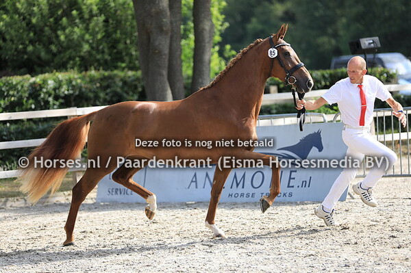 85 Lilly Marleen v Ferguson