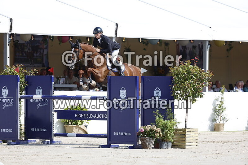 dennis van den brink