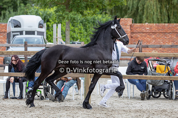 72. Minne fan 't Hoolven