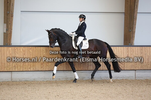 34 Spectre (Hermes x Vivaldi)