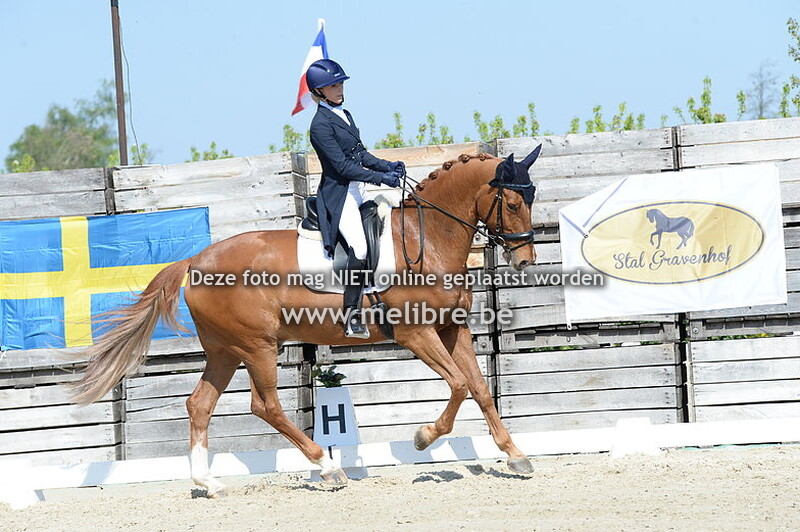 SUNDAY - CDIJ - Young Riders Individual