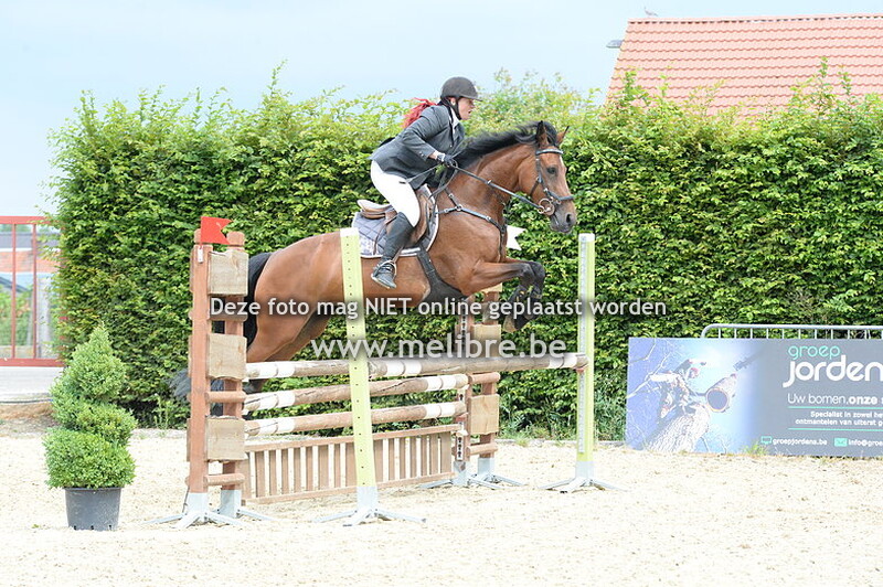 Seniors A - 95 - Kampioenschap Namiddag