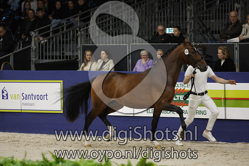 Radler Bloemendael v. Total Hope - 520