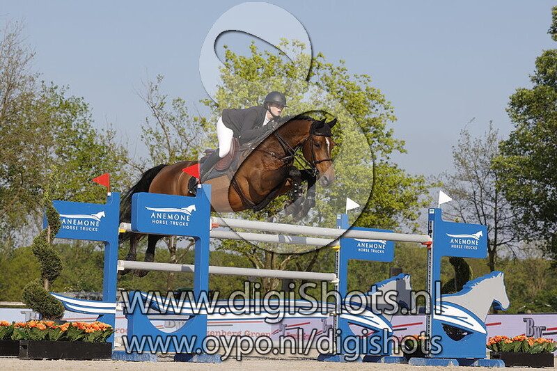 Ducci van t Atihof Sl Z