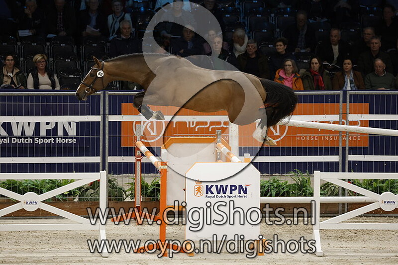 Kudus Awh v. Kassander Van 't Roosakker - 089