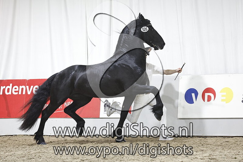 Gosse 526 v. Nane 492