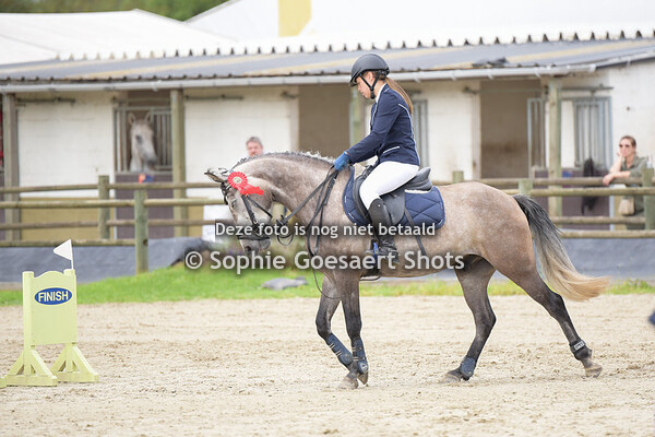 Ponies Hoogte 80 - Prijsuitreiking