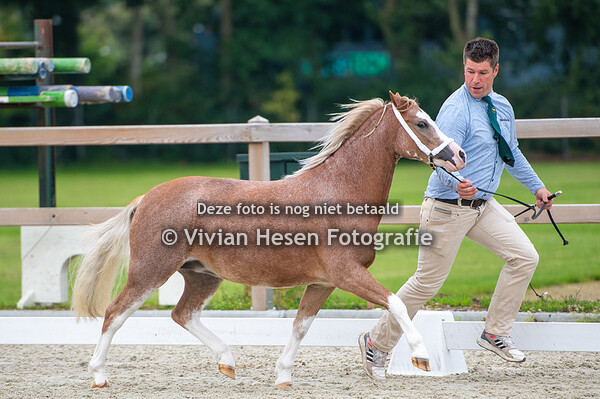 Keuring Vriendenkring