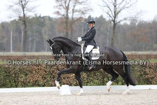 Superhorse Landlord H