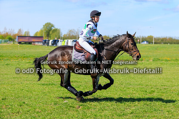 NHHT CCI3-L 19-04-25