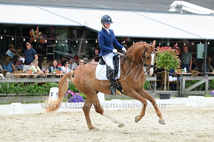 Lisa van Ettikhoven - Enzo Ferrari