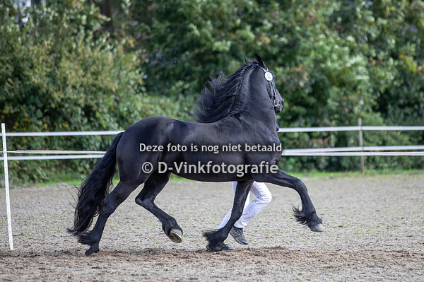 42. Hans van Koningsland