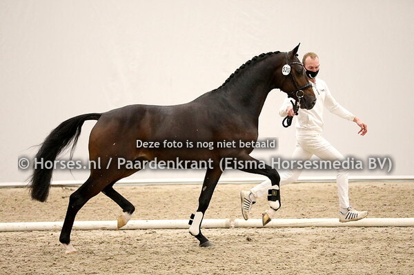 02-12-2020 1e bez KWPN Dressuur